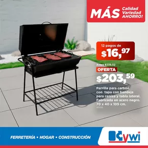 Catálogo Kywi en San Gabriel | Descuentos y promociones | 2025-11-10T00:00:00.000Z - 2025-11-24T00:00:00.000Z
