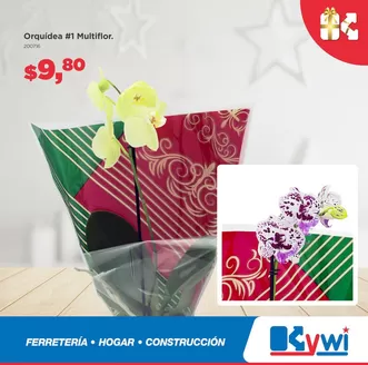 Catálogo Mega Kywi | Catálogo Mega Kywi | 2025-12-01T00:00:00.000Z - 2025-12-15T00:00:00.000Z