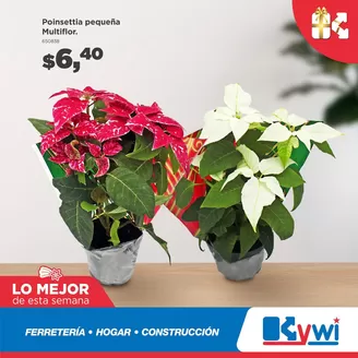 Catálogo Mega Kywi en Piñas Ecuador | Ofertas exclusivas para nuestros clientes | 2025-12-07T00:00:00.000Z - 2025-12-21T00:00:00.000Z