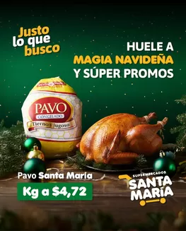 Catálogo Santa Maria en Nobol Canton | Gran variedad de ofertas | 2025-12-15T00:00:00.000Z - 2025-12-29T00:00:00.000Z