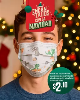 Catálogo Ferrisariato en Duran | Excelente oferta para todos los clientes | 2025-12-19T00:00:00.000Z - 2026-01-02T00:00:00.000Z