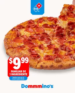 Catálogo Domino's Pizza en Duran | $9.99 familiar de 1 ingrediente | 2025-12-30T00:00:00.000Z - 2026-01-17T00:00:00.000Z