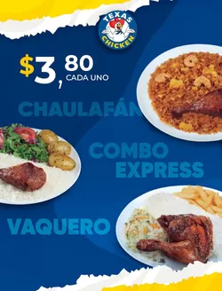 Catálogo Texas Chicken en Sangolquí | $3.80 cada uno  | 2026-03-11T00:00:00.000Z - 2026-03-31T00:00:00.000Z