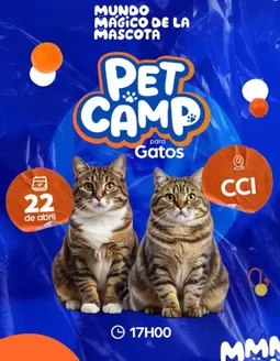 Catálogo Mundo Mágico de la Mascota | Pet camp para gatos  | 2026-04-21T00:00:00.000Z - 2026-04-22T00:00:00.000Z