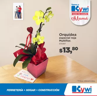 Catálogo Kywi | Nuevas ofertas para descubrir | 2026-05-05T00:00:00.000Z - 2026-05-19T00:00:00.000Z