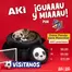 Catálogo Akí | Nuestras mejores ofertas para ti | 2026-06-21T00:00:00.000Z - 2026-07-31T00:00:00.000Z