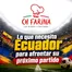 Catálogo Ch Farina | Lo ue necesita ecuador para afrontar su proximo partido | 2026-06-26T00:00:00.000Z - 2026-07-31T00:00:00.000Z