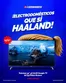 Catálogo Comandato | Descubre ofertas atractivas | 2026-07-10T00:00:00.000Z - 2026-07-24T00:00:00.000Z