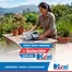 Catálogo Mega Kywi en El Quinche | Catálogo Mega Kywi | 2026-06-01T00:00:00.000Z - 2026-08-31T00:00:00.000Z