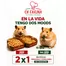 Catálogo Ch Farina | En la vida tengo dos moods | 2026-08-19T00:00:00.000Z - 2026-08-31T00:00:00.000Z