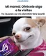 Catálogo Computron | Gangas y ofertas actuales | 2026-09-16T00:00:00.000Z - 2026-09-30T00:00:00.000Z