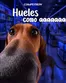 Catálogo Computron en Puyango | Catálogo Computron | 2026-10-10T00:00:00.000Z - 2026-10-24T00:00:00.000Z
