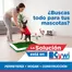 Catálogo Mega Kywi en Tarifa | Ofertas especiales para ti | 2026-10-19T00:00:00.000Z - 2026-11-02T00:00:00.000Z