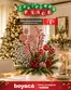 Catálogo Boyacá | Decorativas | 2026-10-29T00:00:00.000Z - 2026-12-31T00:00:00.000Z