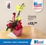 Catálogo Kywi | Nuevas ofertas para descubrir | 2026-05-05T00:00:00.000Z - 2026-05-19T00:00:00.000Z