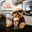 Catálogo Ch Farina en Montecristi | Milkshake $ 3.69 | 2026-05-14T00:00:00.000Z - 2026-05-31T00:00:00.000Z
