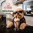 Catálogo Ch Farina | Gangas y ofertas actuales | 2026-05-15T00:00:00.000Z - 2026-05-29T00:00:00.000Z