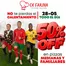 Catálogo Ch Farina en Riobamba | 50%Off en pizzas medianas y familiares  | 2026-05-19T00:00:00.000Z - 2026-05-28T00:00:00.000Z