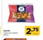 carne Delfín