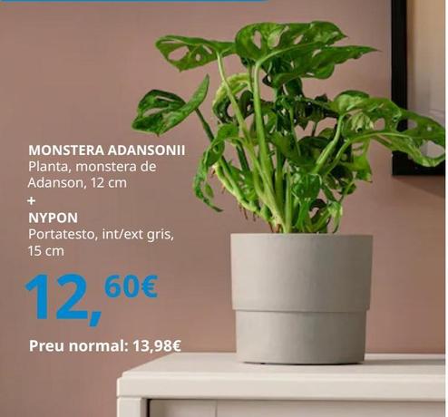 plantas Ikea
