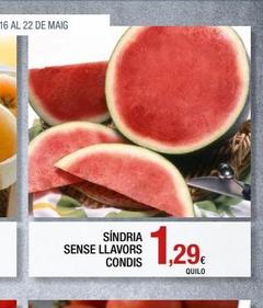 SÍNDRIA  SENSE LLAVORS CONDIS  QUILO 