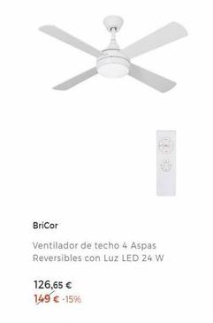 ventilador de techo BriCor