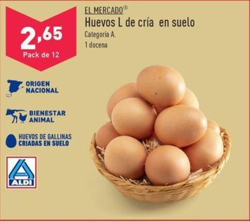 Huevos L de cria en suelo