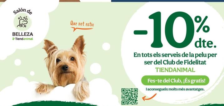 En Tots Els Serveis De La Pelu Per Ser Del Club De Fidelitat