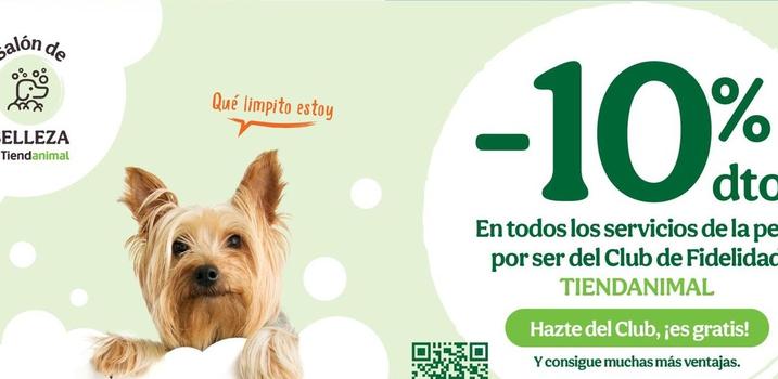  En Todos Los Servicios De La Pelu Por Ser Del Club De Fidelidad