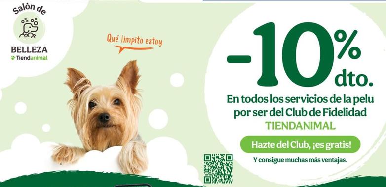 En Todos Los Servicios De La Pelu Por Ser Del Club De Fidelidad