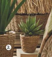 Bon Preu - Plantas Artificial Aloe