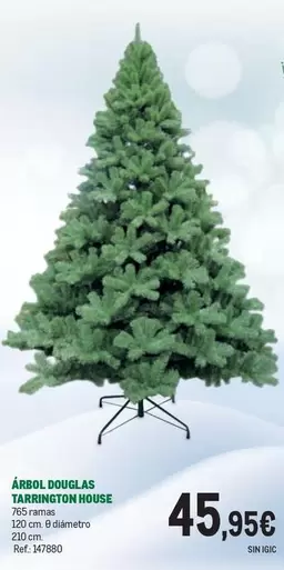 Douglas - Árbol  Tarminton Houese