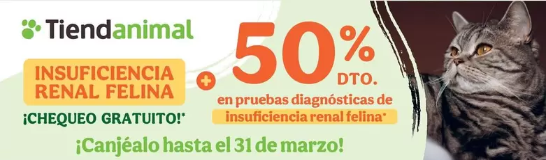 TiendAnimal - Insuificencia Renal Felina