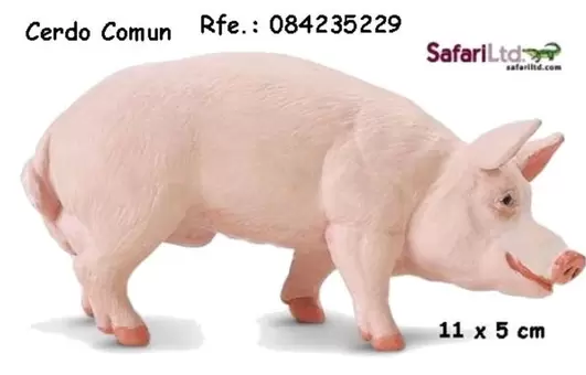Safari - Cerdo Comun