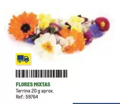 Flores -  Mixtas