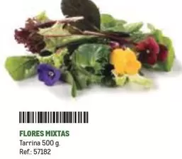Flores -  Mixtas