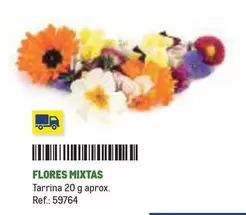 Flores -  Mixtas