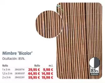 Mimbre 'Bicolor'