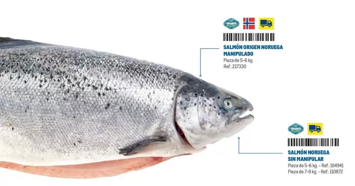 origen - Salmon Adulce Noirwear