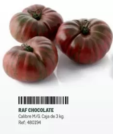 Raf Chocolate