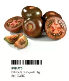 Kumato