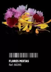Flores Mixtas