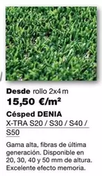 Césped Denia
