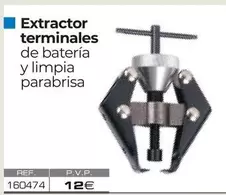 Extractor Terminales