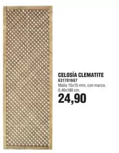 Celosía Clematite