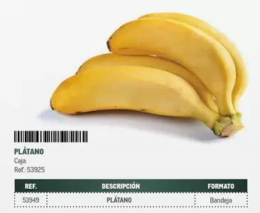 Platano