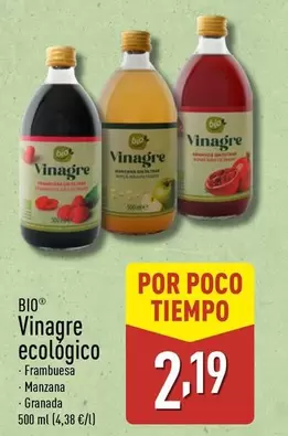 Bio - Vinagre Ecologico