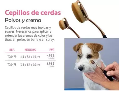 Cepillos De Cerdas