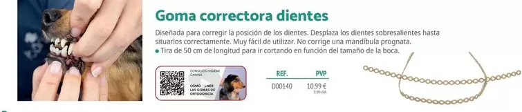 Goma Correctora Dientes