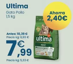 Affinity - Última Gato Pollo